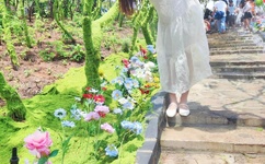 全球最大成人网站P站遭受重创